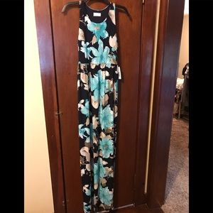 Pink lily Boutique Dress.  NWT